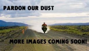 PARDON OUR DUST