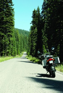 MedicineLake-4 An old logging road makes for an intimate ride—it’s just you and the trees.