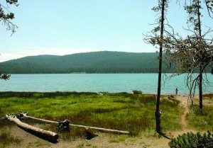 MedicineLake-5 Medicine Lake lies within the central caldera of “The Sleeping Giant.”