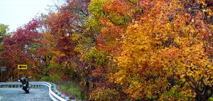 MINOLTA DIGITAL CAMERA Beautiful fall colors along West Virginia’s Route 55 accompany equally pleasing corners.