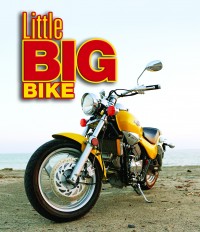Little Big Bike: The 2005 Kymco Venox.