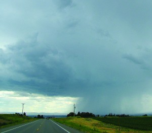14 This storm cell on U.S. 93 is one of many we ran into during our trip. This one we were lucky to get around without getting wet.