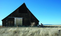 Is there any architecture more honest than that of a grand old barn?