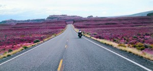 Bob Gibbs riding to the Goosenecks, near Mexican Hat, Utah.
