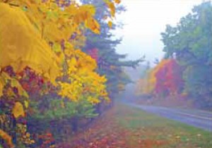 The Blue Ridge Parkway Fall Colors The Blue Ridge Parkway Fall Colors