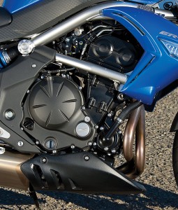 2009 Kawasaki ER-6n Engine