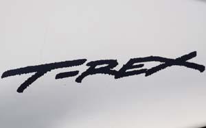 2009 Campagna T-Rex 14R logo