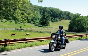 Millers’ Yellow Iris Farm on Route 519 in Pennsylvania
