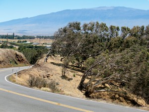 Hawaii Motorcycle Rides: Big Island Mauna Kea Hawaii's Big Island: Route 250 as it wraps around Mauna Kea