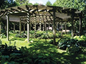 The hosta garden in the Dubuque Arboretum