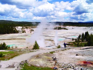 89-3 Steam vents, geysers and fumaroles all collaborate to create the alien landscape in the Porcelain Basin area of Norris Geyser Basin in Yellowstone Park.