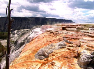 Eons of hot,  mineral-laden water have created these delicate terraces of multicolored  limestone at Mammoth Hot Springs in Yellowstone