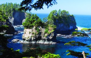 wash.top.327 The only way to see these islands—partly in the Pacific Ocean and partly in Puget Sound—is to ride to the end of the continent and hike a half mile into the woods. Get directions and a parking permit at the Neah Bay gas station.