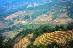 Terrace farms in Northern Vietnam.