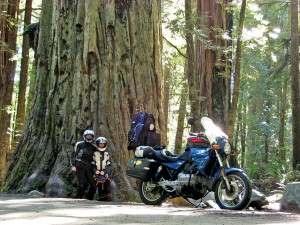 Gail Hatch and her daughter Lisa underneath a redwood tree.