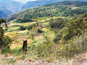 Indigenous people clear forest to plant crops