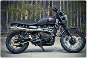 Hawkized Triumph Scrambler