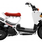 2012 Honda Ruckus