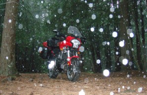 A motorcycle parked in the woods tring to keep dry in the rain.