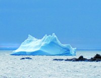 Twillingate is the “Iceberg Capital” of Newfoundland. Icebergs arrive from Greenland from March to July. They are composed of snow that fell 15,000 years ago and average the size of a 15-story building. And yes, 90 percent of an iceberg is below water.
