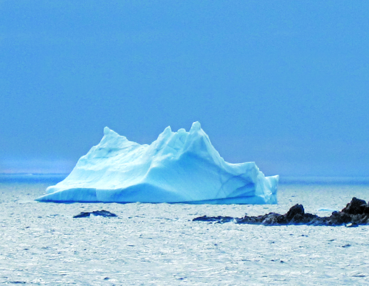 Capital Of Newfoundland