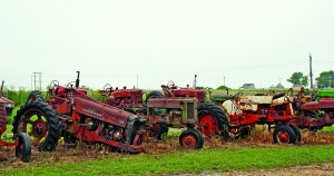 This is where old tractors go to donate parts to keep other tractors going, the mechanical equivalent of our own organ donation program.