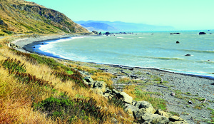 web-Mustoe_CT_10 Where the Lost Coast Highway meets the Pacific Ocean.