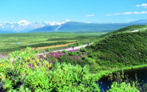 ALASKA_9 The Alaska Range can be seen for the 136-mile-length of the Denali Highway. It’s about 200 miles from here to the nearest traffic signal.
