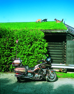 Al Johnson’s Swedish Restaurant in Sister Bay, Wisconsin. I guess Al figured it was either goats or drag a lawn mower up onto the roof.