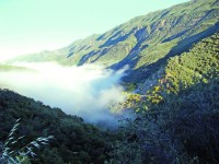 View from Hwy. 33 out of Ojai, looking out over the morning coastal fog bank.