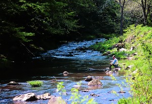 web-Carolinas_16 Not that you’d tire of the riding, but fly fishing is another means of recreation along Wayah Road and the Nantahala River.