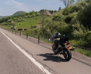 Dairy farms dot the Catskill landscape.