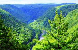 Pennsylvania’s Grand Canyon is at Leonard Harrison State Park west of Wellsboro.