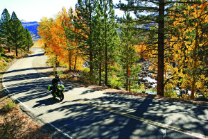 Riding through golden aspens along the West Walker River on Route 108.