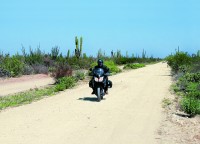Roads in the Vizcaino Desert are mostly flat and straight.