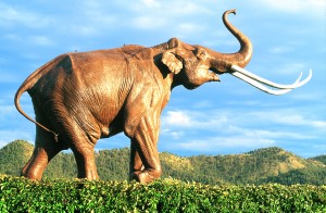 web-Dakotas_40 This life-sized replica of a Columbian mammoth guards the excavation site of its kin in Hot Springs, South Dakota.