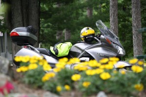 The author’s yellow helmet and high-viz jacket act as camouflage alongside these yellow flowers. (Tip: Don’t ride through gardens.)