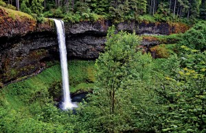 The 177-foot South Falls spilling over the edge of a huge basalt amphitheater is a spectacular sight. Note the people on the trail below the falls.