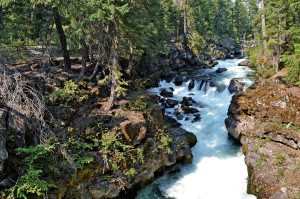 The Rogue River Gorge and Natural Bridge site is an interesting place depicting the impact between the Rogue River and ancient volcanic formations.
