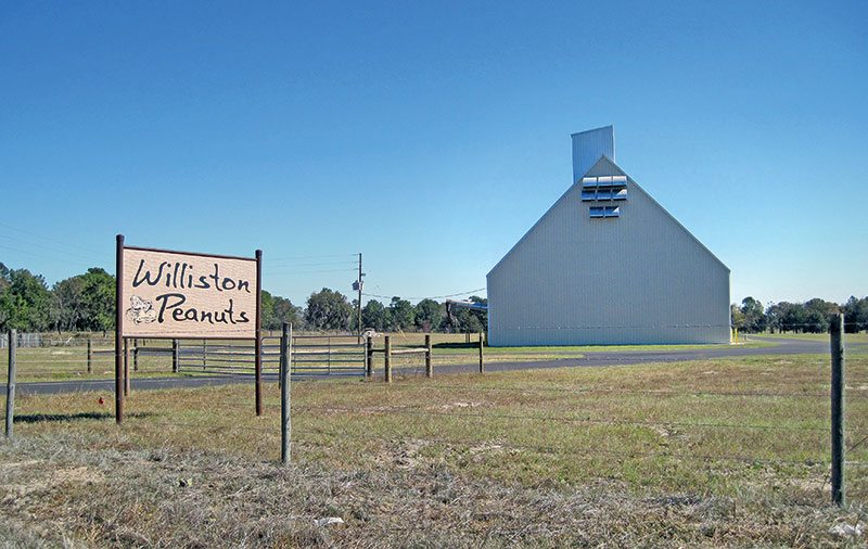 Florida Peanut Farm