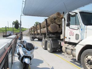 Mississipi River Ferry, hardwood