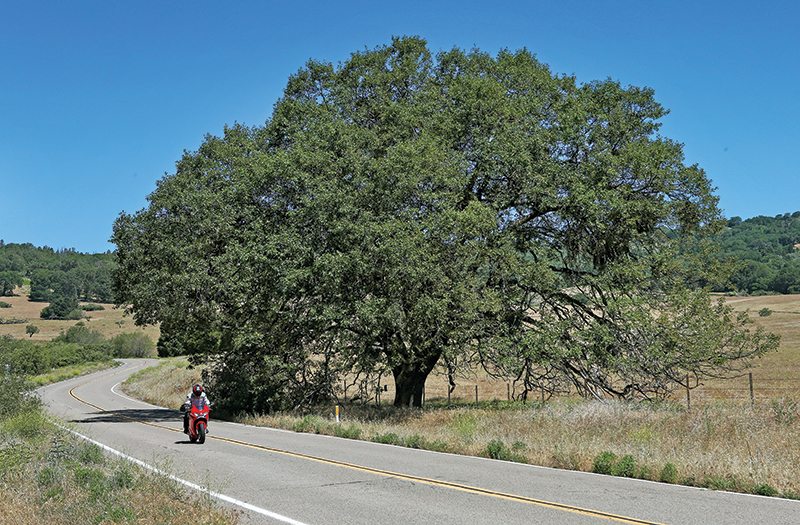 Long-distance riders may want to install the optional bar risers and taller windscreen, not to mention the saddlebags and top trunk.