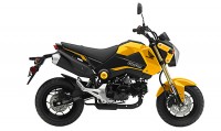 2015 Honda Grom in Yellow.