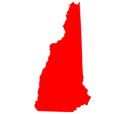 State Icon New Hampshire