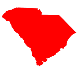 State Icon South Carolina