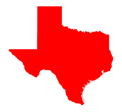 State Icon Texas